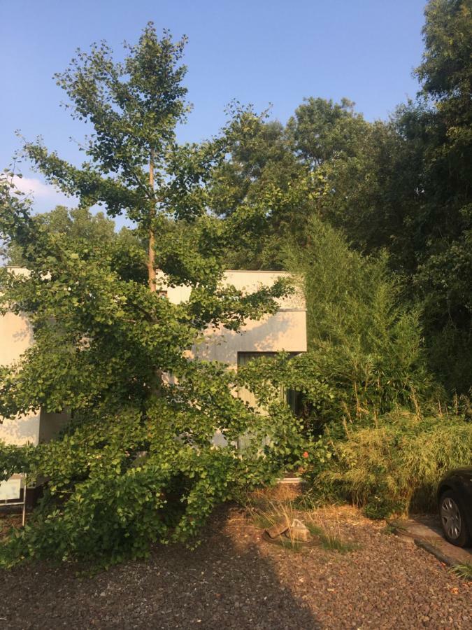Suite Am Stift ! Wunstorf Exterior foto