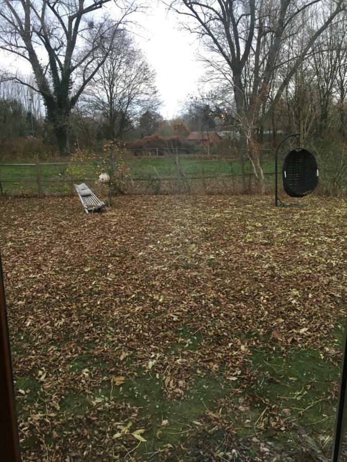 Suite Am Stift ! Wunstorf Exterior foto